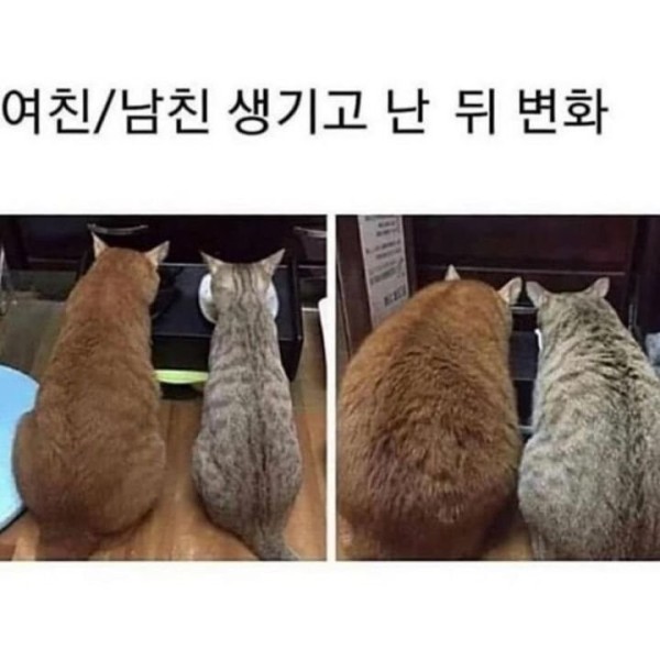 17083998549119.jpeg