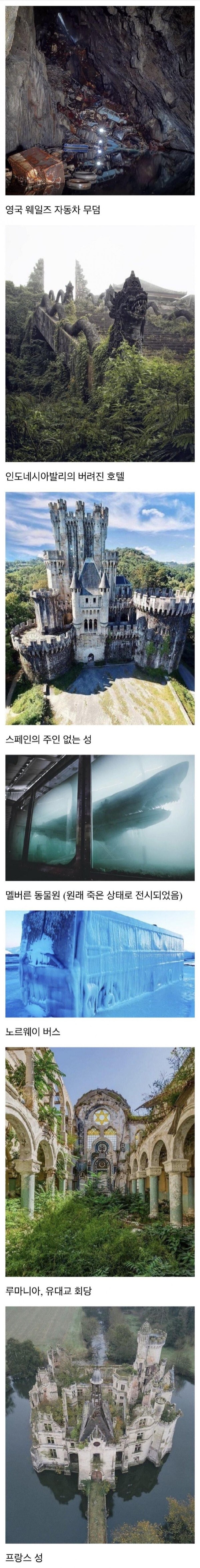 17084359002969.jpg