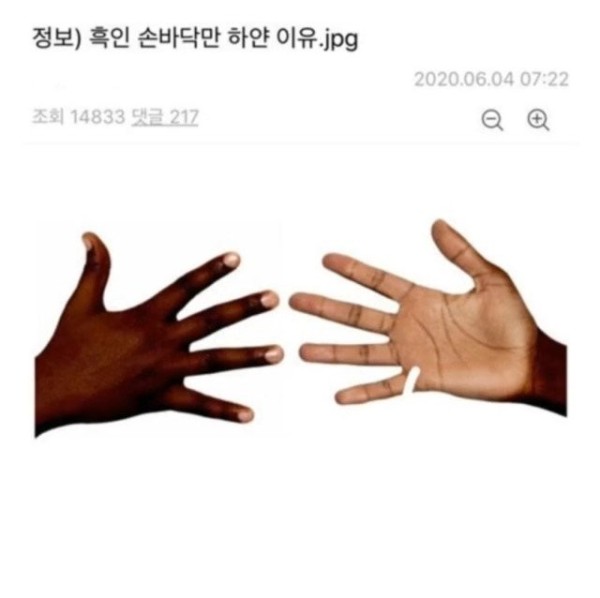 17090061554539.jpg