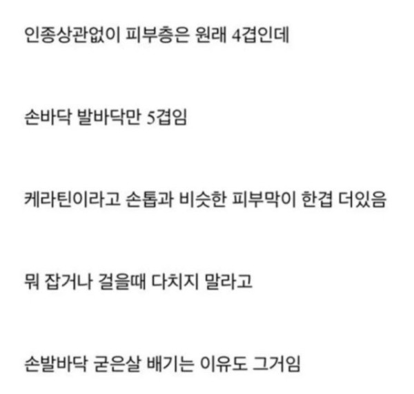 17090061556816.jpg