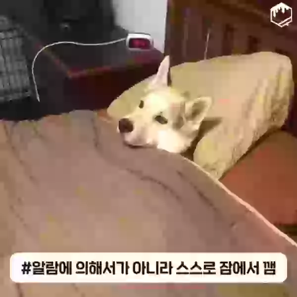 1709006277069.webp