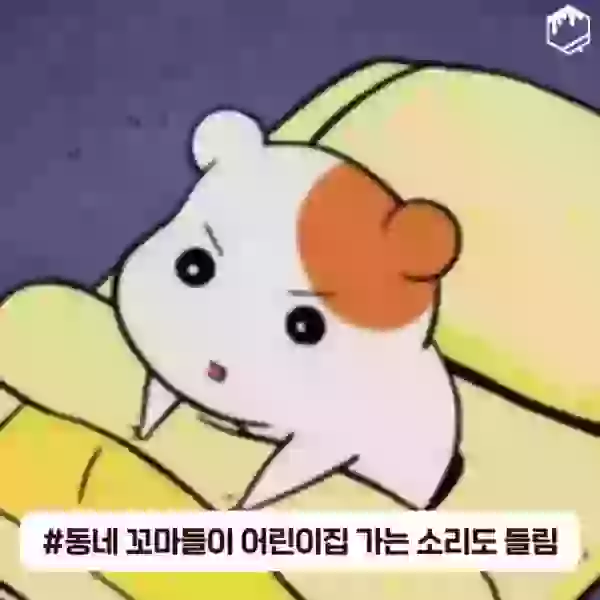 17090062770806.webp