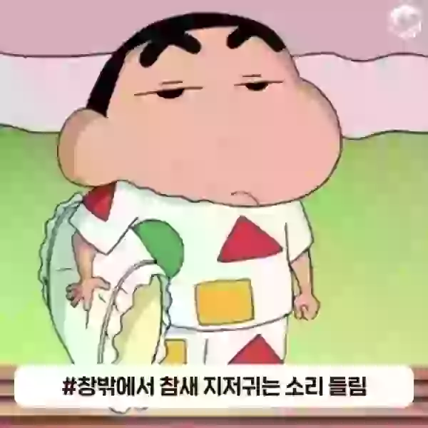 17090062771026.webp
