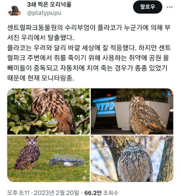 17091594336912.jpg