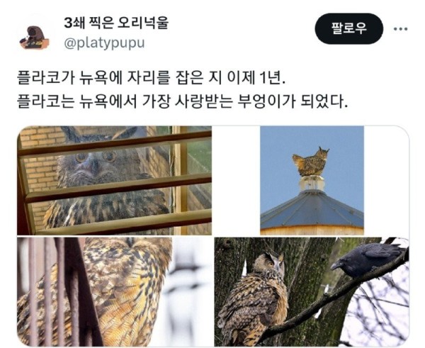 17091594341566.jpg