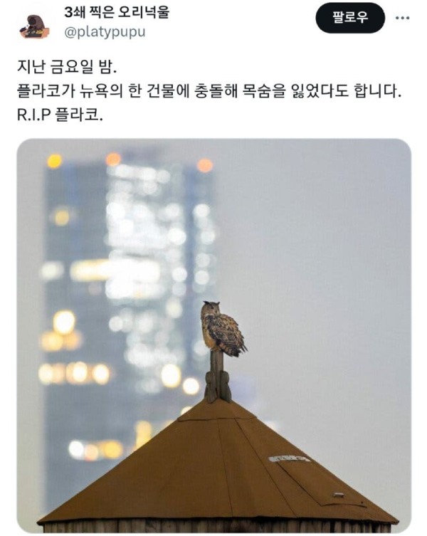 17091594346725.jpg