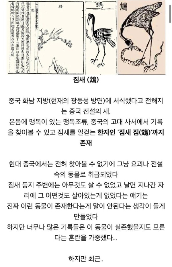17091595009059.jpg