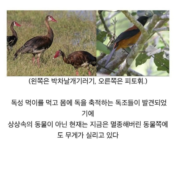 17091595014875.jpg