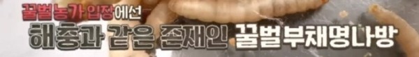 1709213469223.jpg