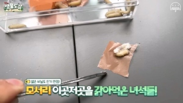 17092134791765.jpg
