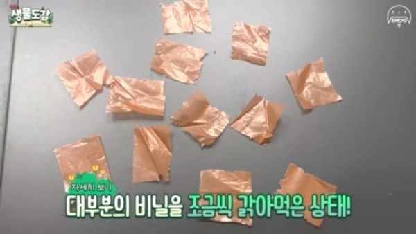 17092134795307.jpg