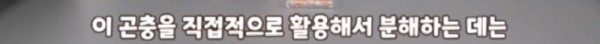 17092134802478.jpg