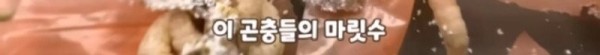 17092134809939.jpg