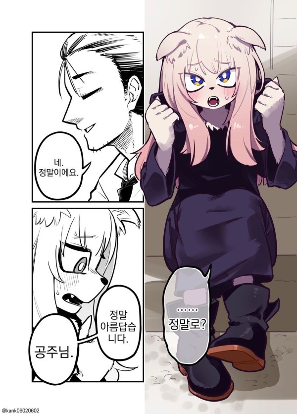 17093484803036.jpeg