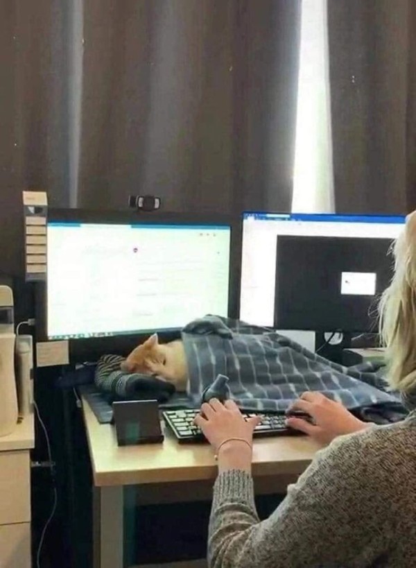 17093484845425.jpg