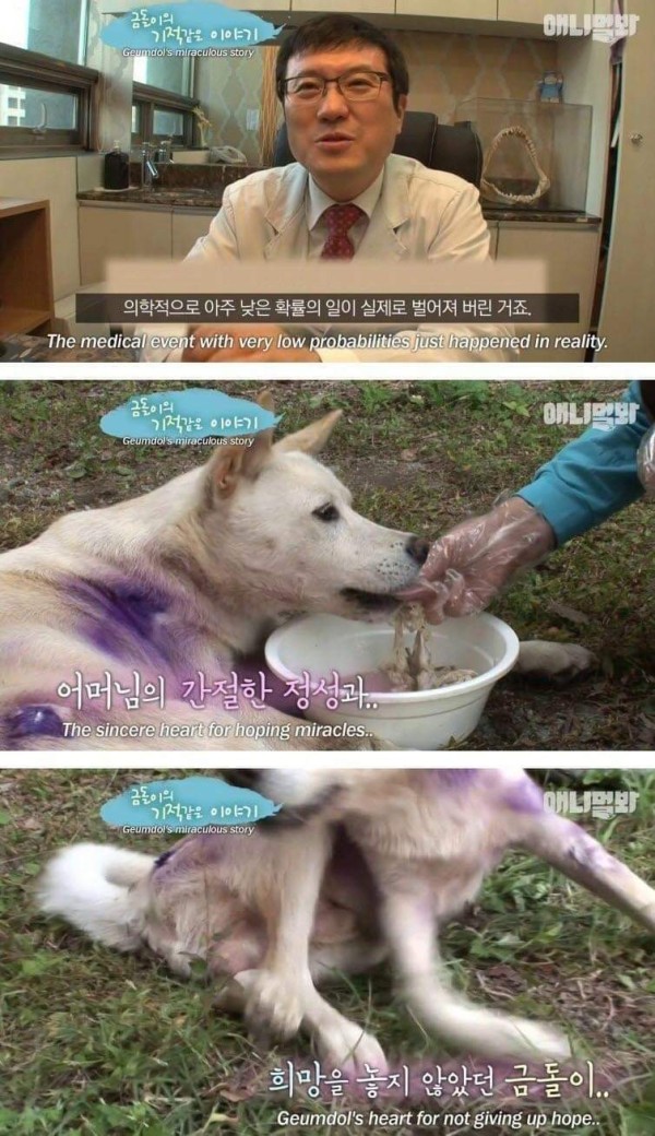 17093520827301.jpg