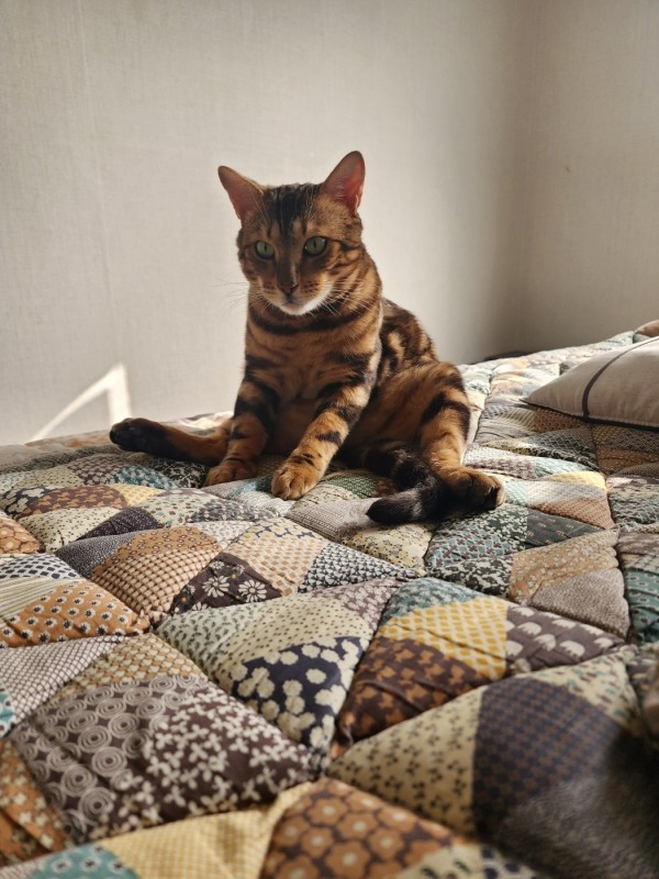 17094420788677.jpeg