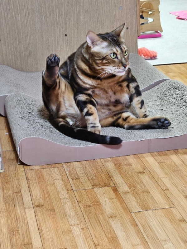 17094420793111.jpeg