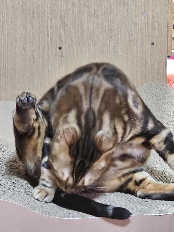 17094420814165.jpeg
