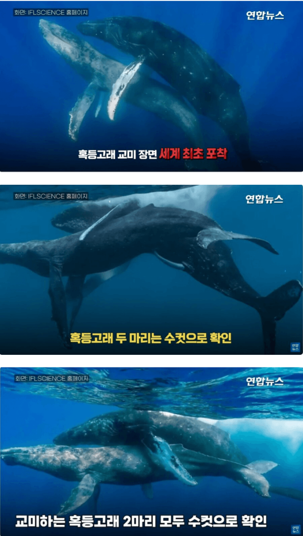 17094492795376.png