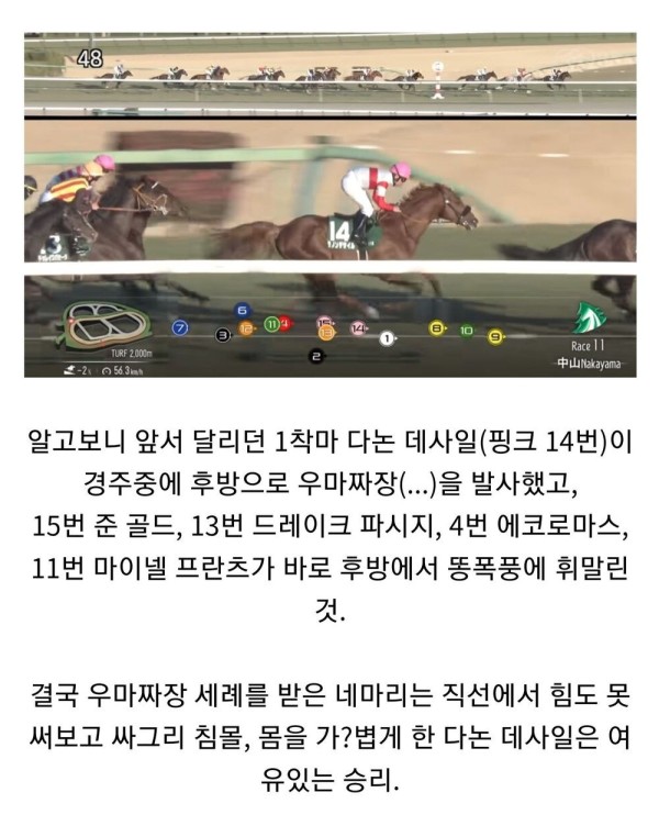 17094600857226.jpg
