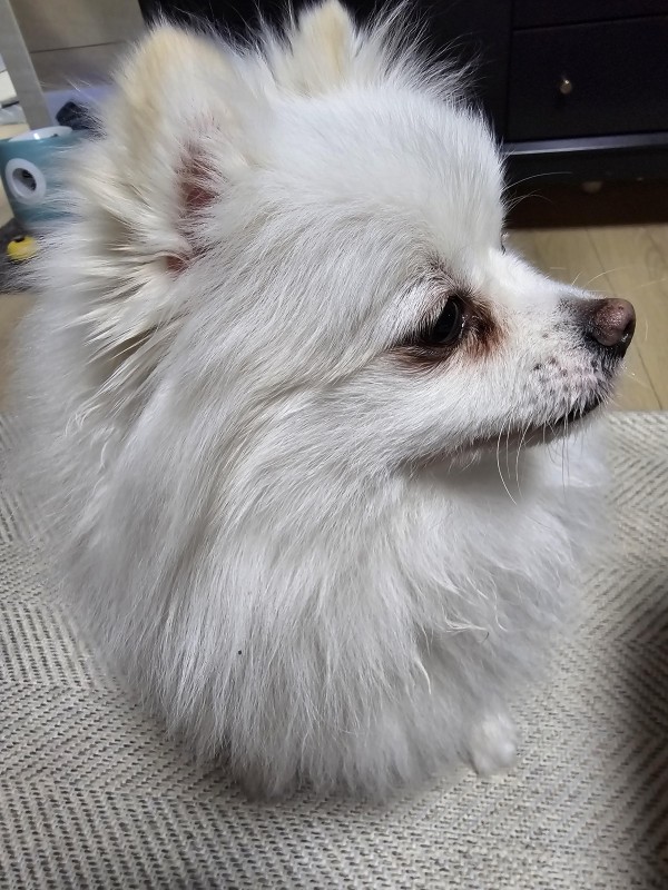 17095284875141.jpg