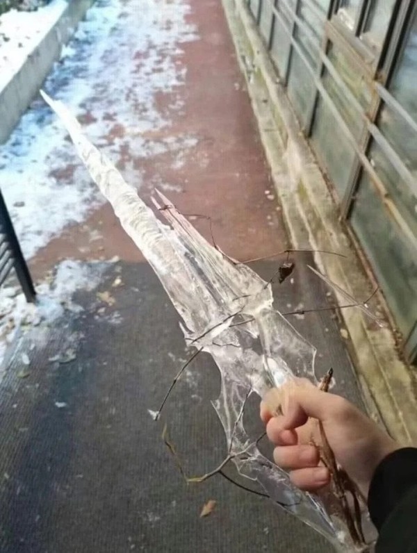 1709533899124.jpeg