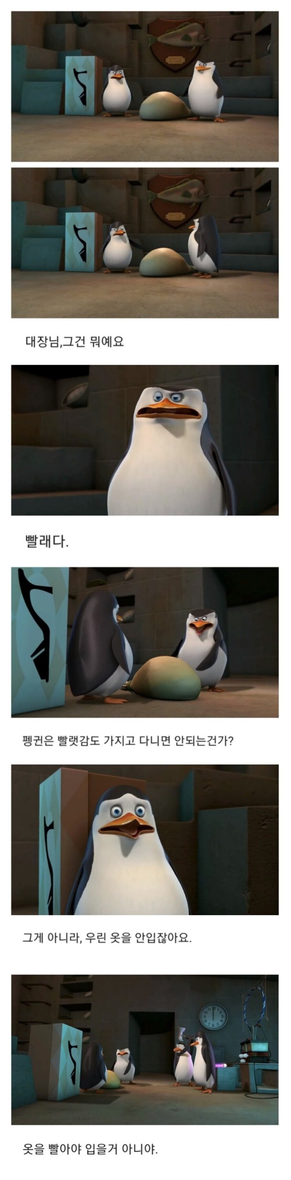 17095933031749.jpg