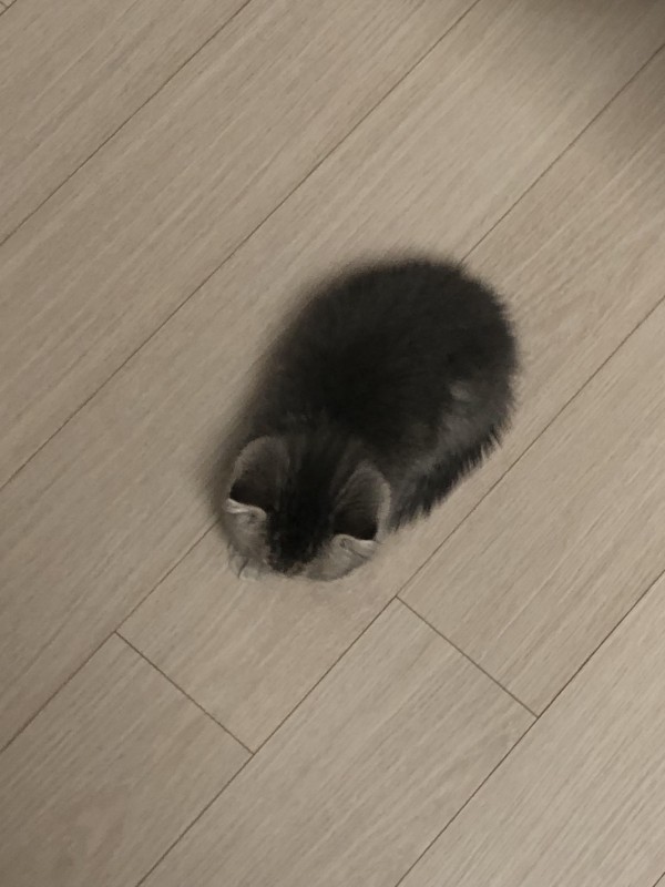 17095968887499.jpg