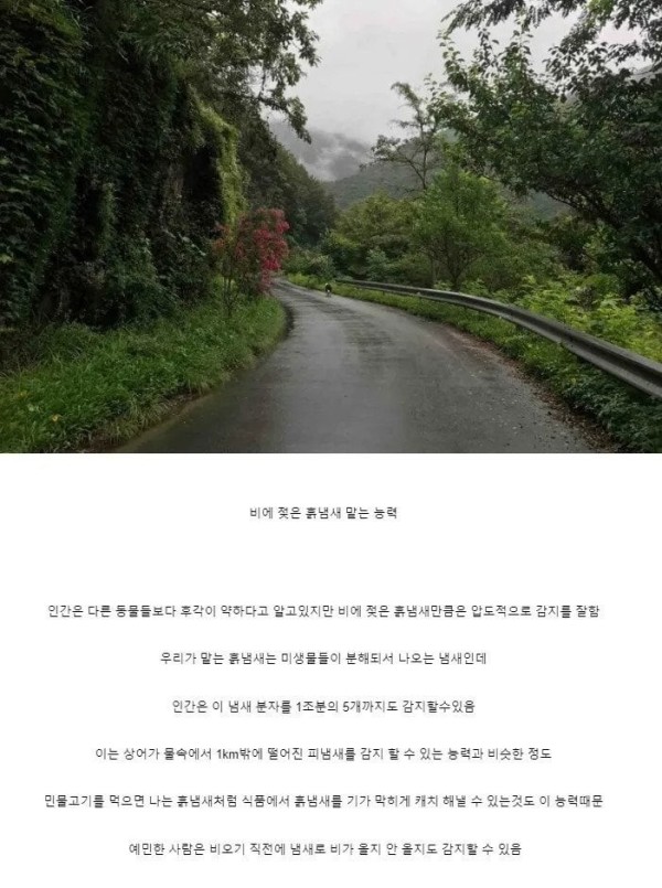 170979129883.jpeg