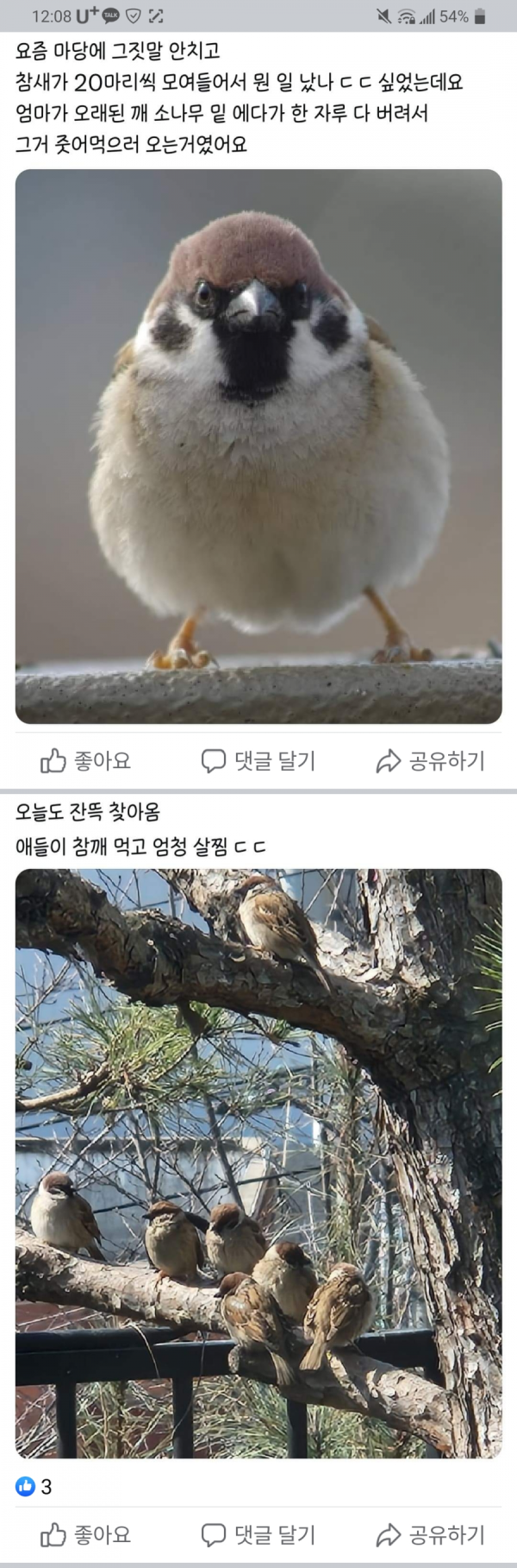 17101206917919.png