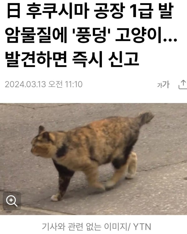 17103024999401.jpg