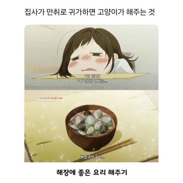 17103978828716.jpeg