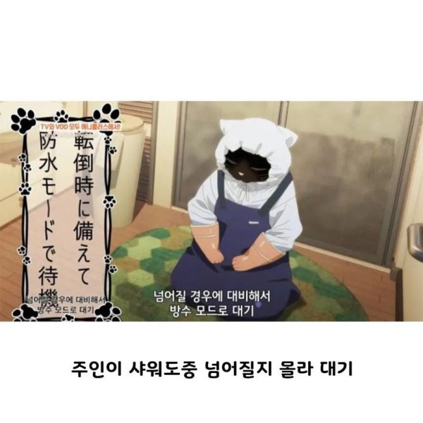 17103978835348.jpeg
