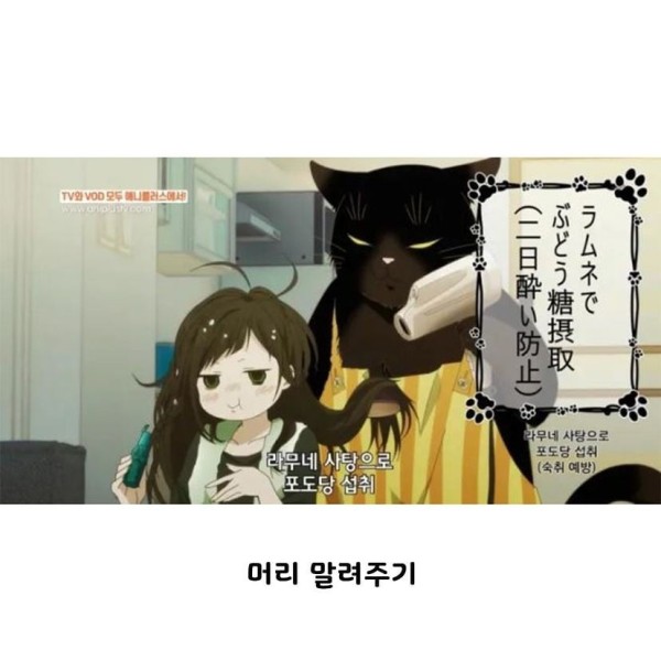 17103978838867.jpeg