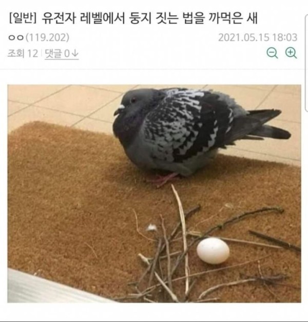 17105203071086.jpeg