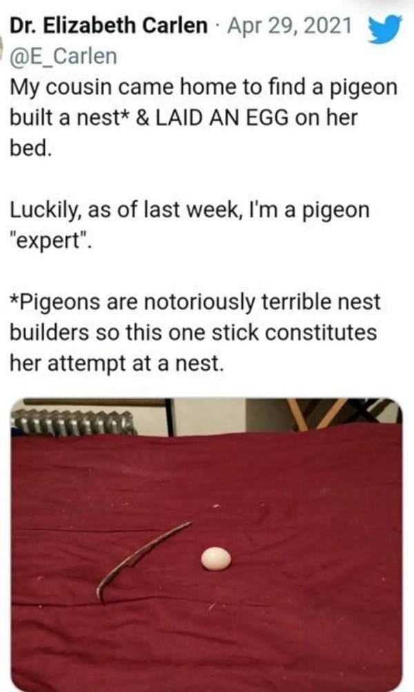 17105203087608.jpeg