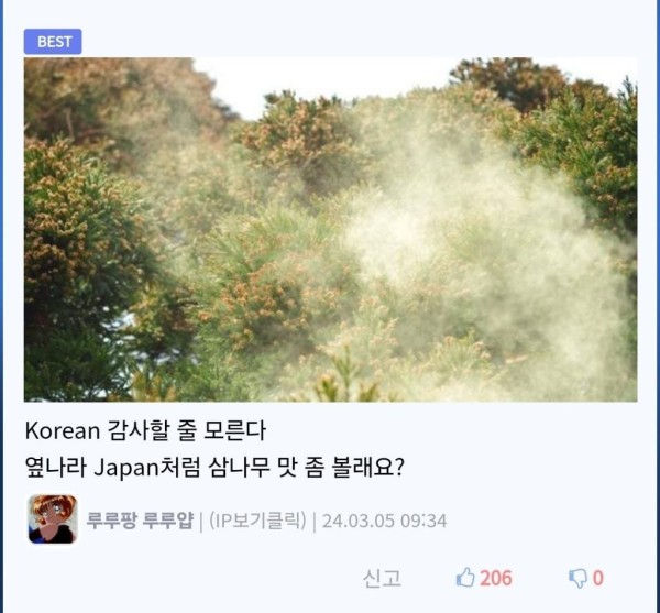 17105454846313.jpeg