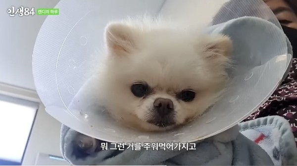 171054727784.jpeg