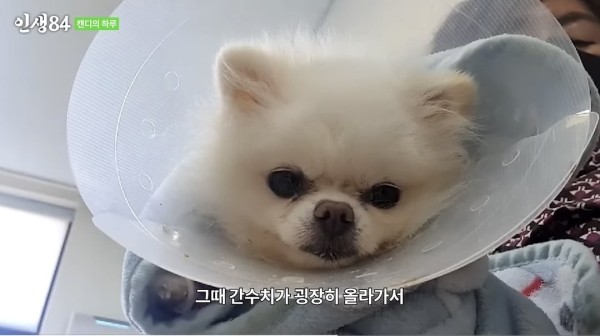 17105472781869.jpeg