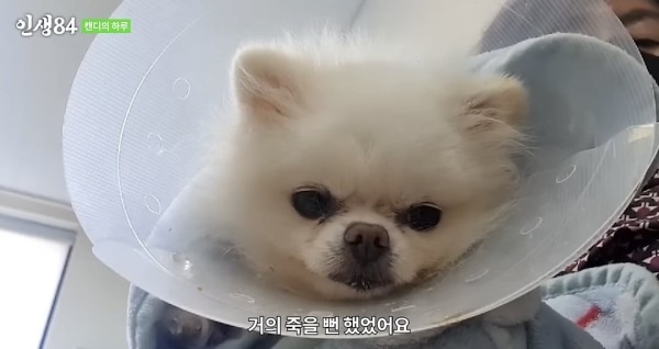 17105472784811.jpeg