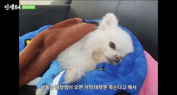 17105472797379.jpeg