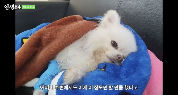 1710547280081.jpeg