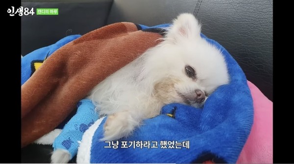 17105472804379.jpeg