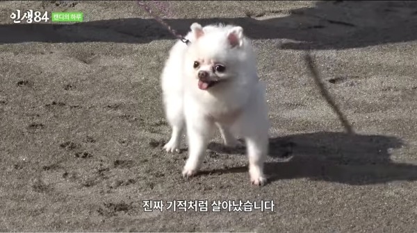 17105472822676.jpeg