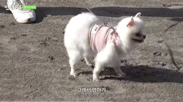17105472826049.jpeg