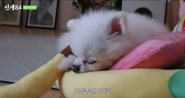 17105472852333.jpeg