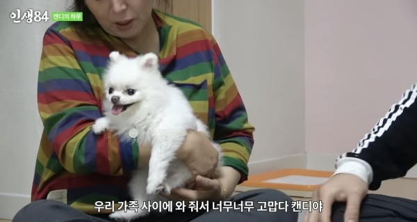 17105472874807.jpeg