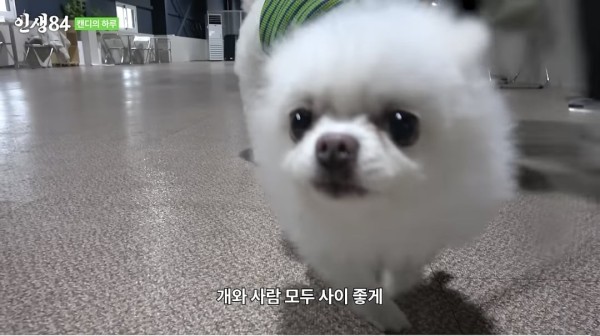 17105472881121.jpeg