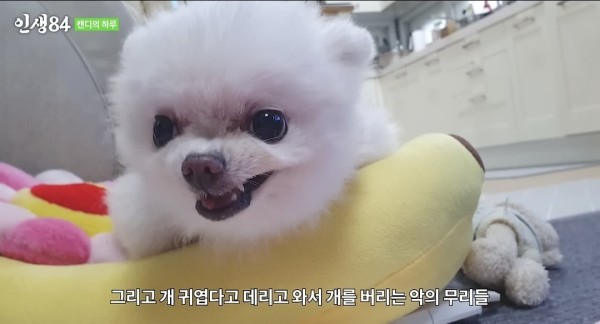 17105472884469.jpeg